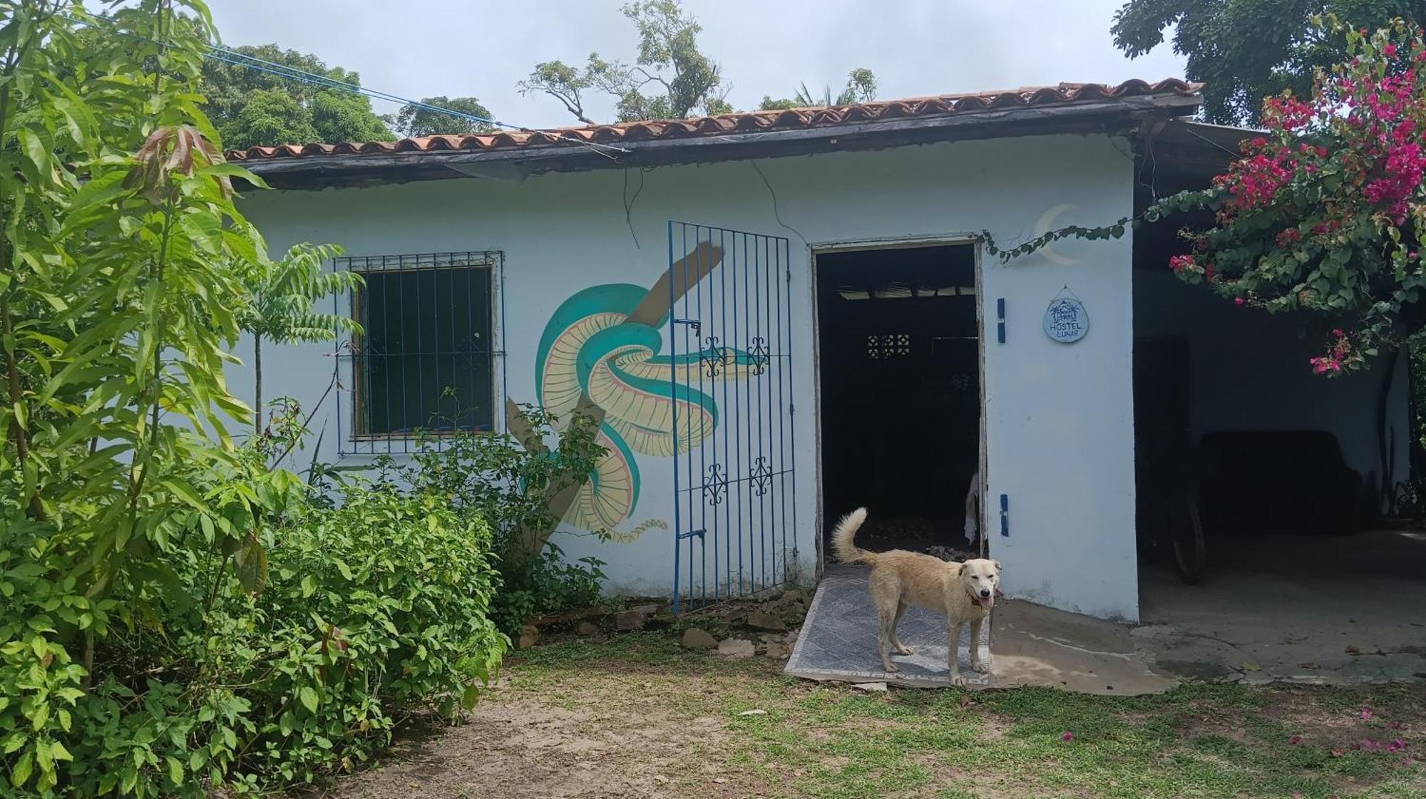 Eco Hostel Lunar 索雷 外观 照片