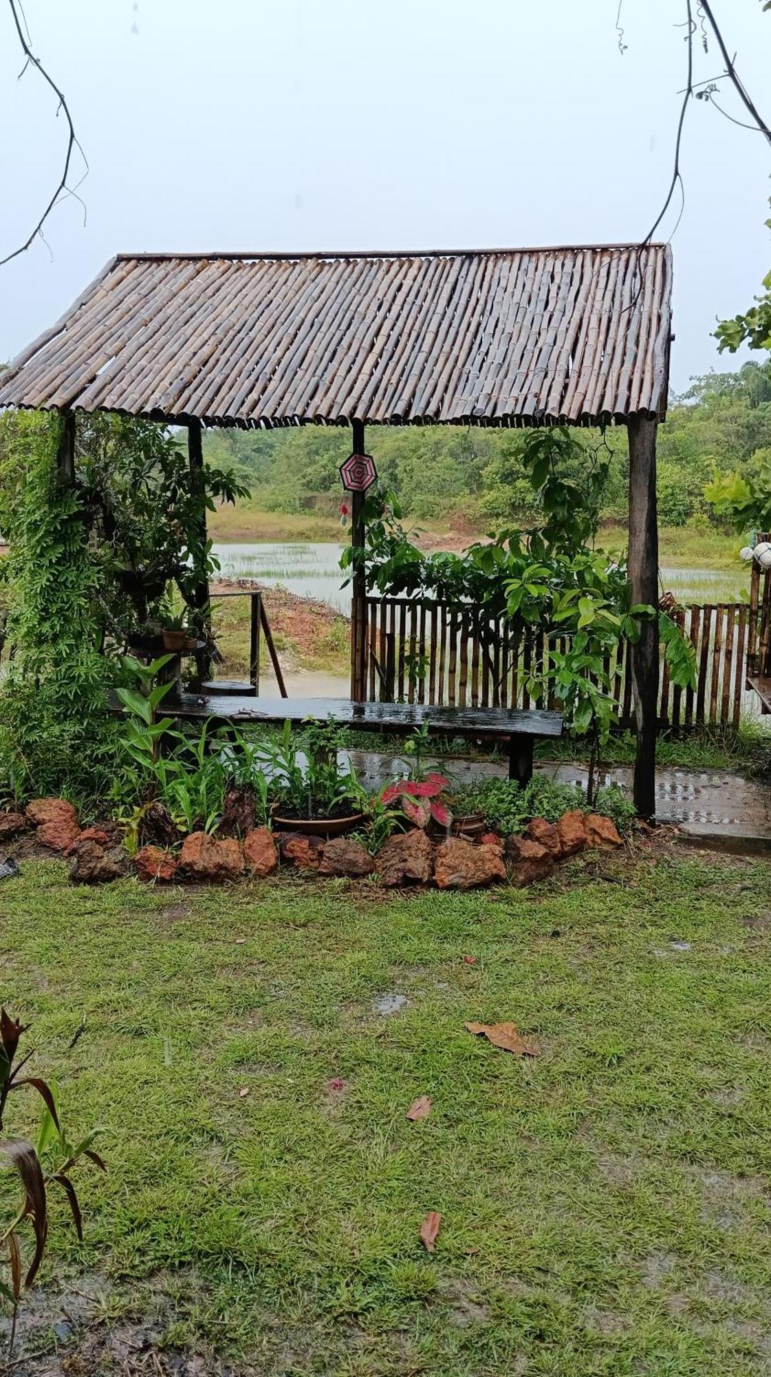Eco Hostel Lunar 索雷 外观 照片
