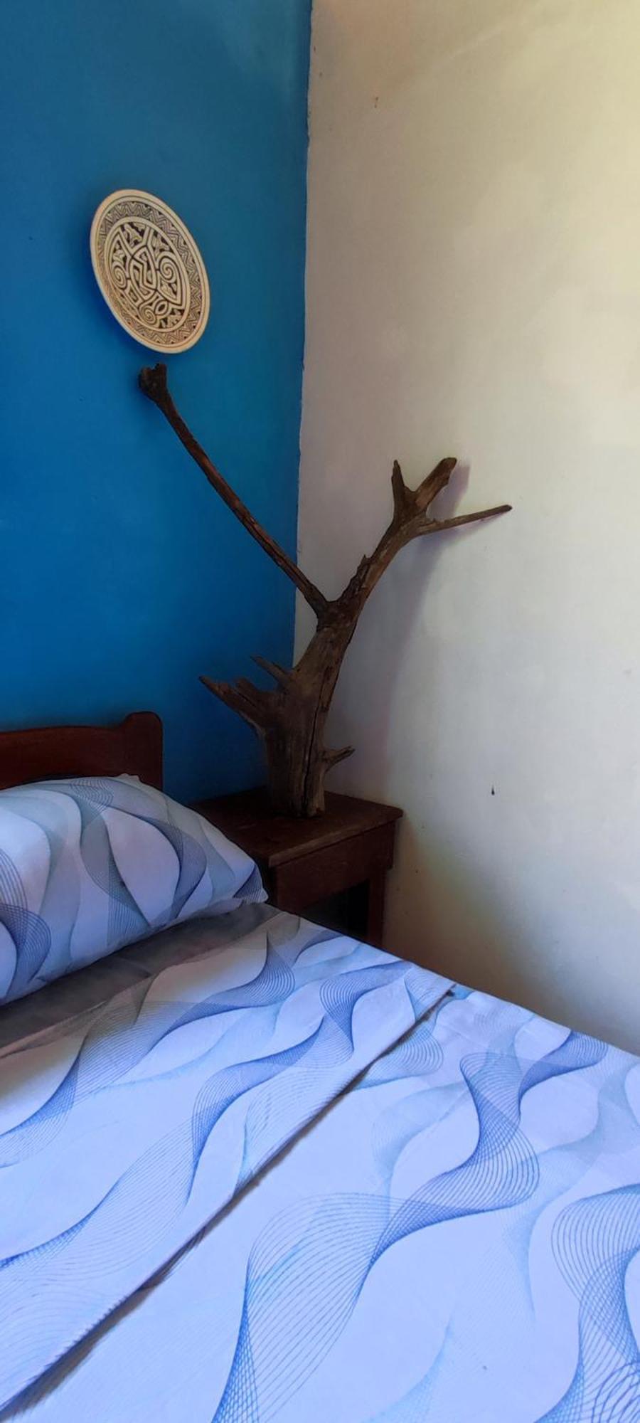 Eco Hostel Lunar 索雷 外观 照片