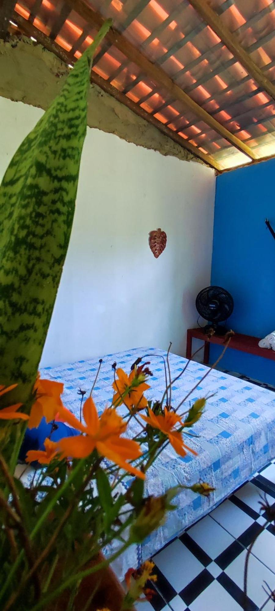 Eco Hostel Lunar 索雷 外观 照片