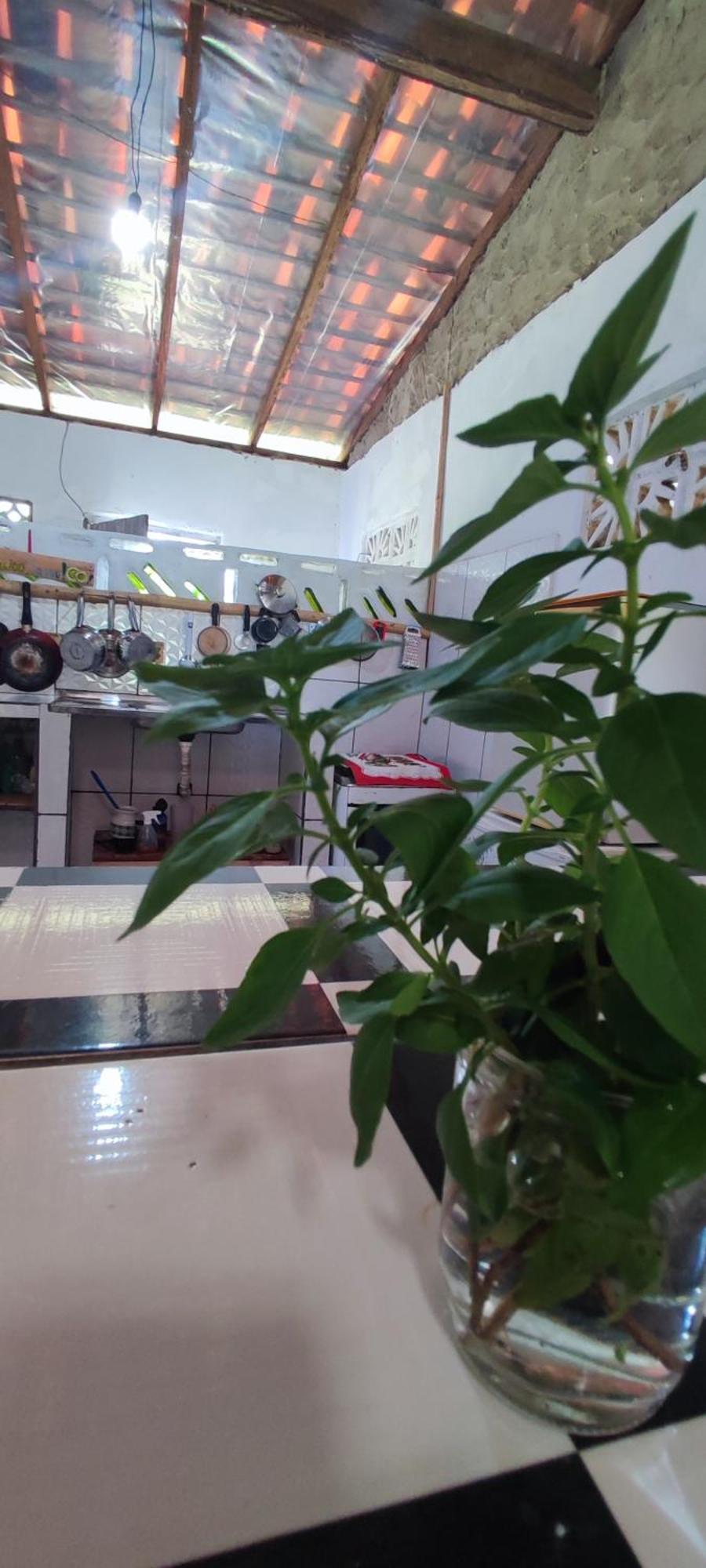 Eco Hostel Lunar 索雷 外观 照片