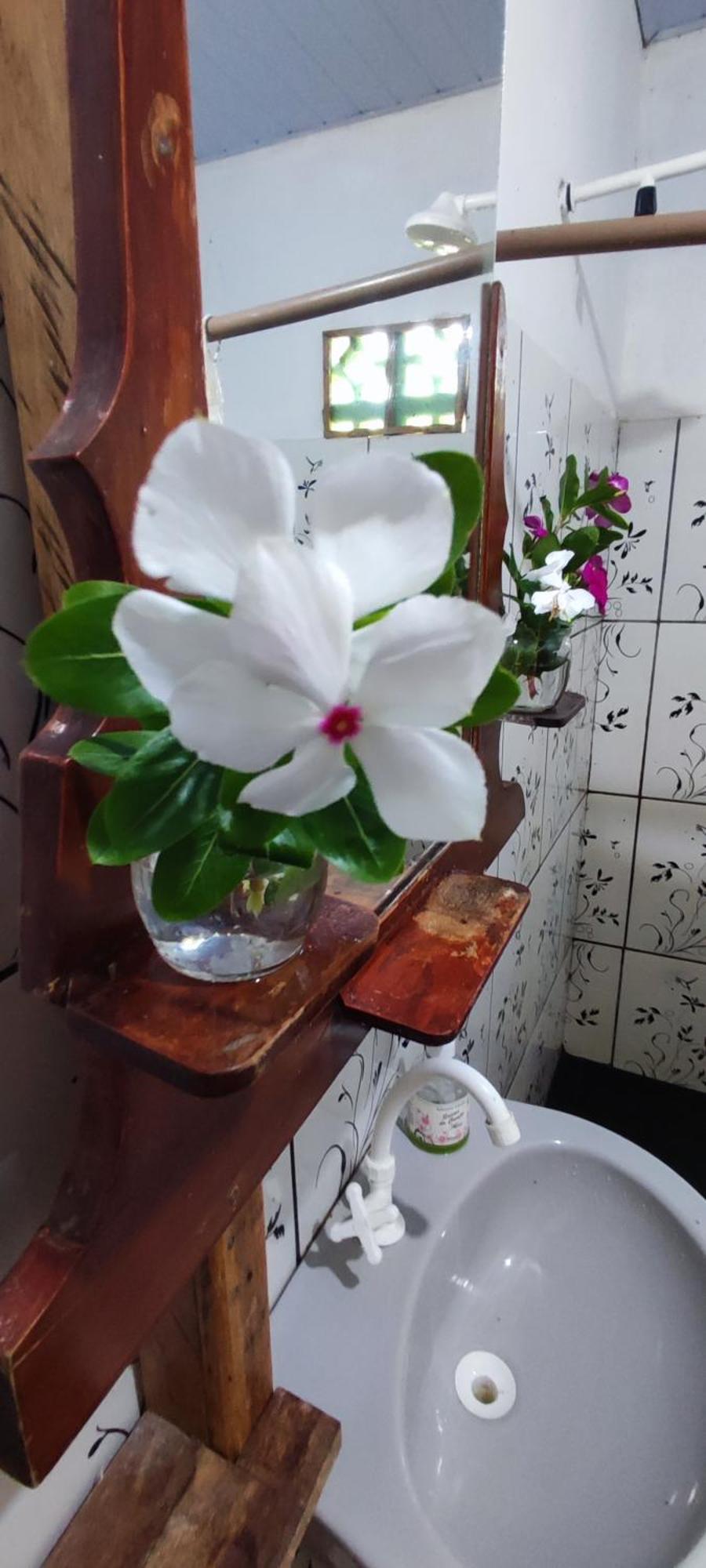 Eco Hostel Lunar 索雷 外观 照片